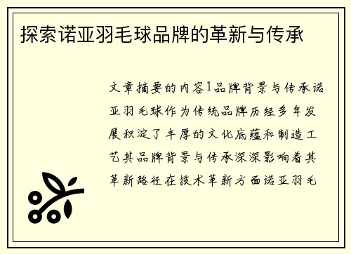 探索诺亚羽毛球品牌的革新与传承