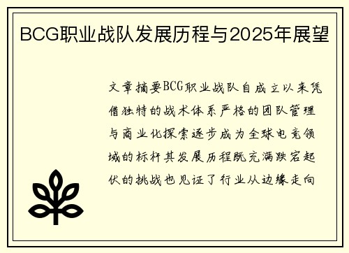 BCG职业战队发展历程与2025年展望