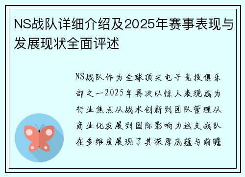 NS战队详细介绍及2025年赛事表现与发展现状全面评述