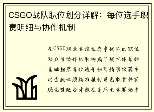 CSGO战队职位划分详解:每位选手职责明细与协作机制